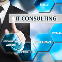 Information Technology Consultants